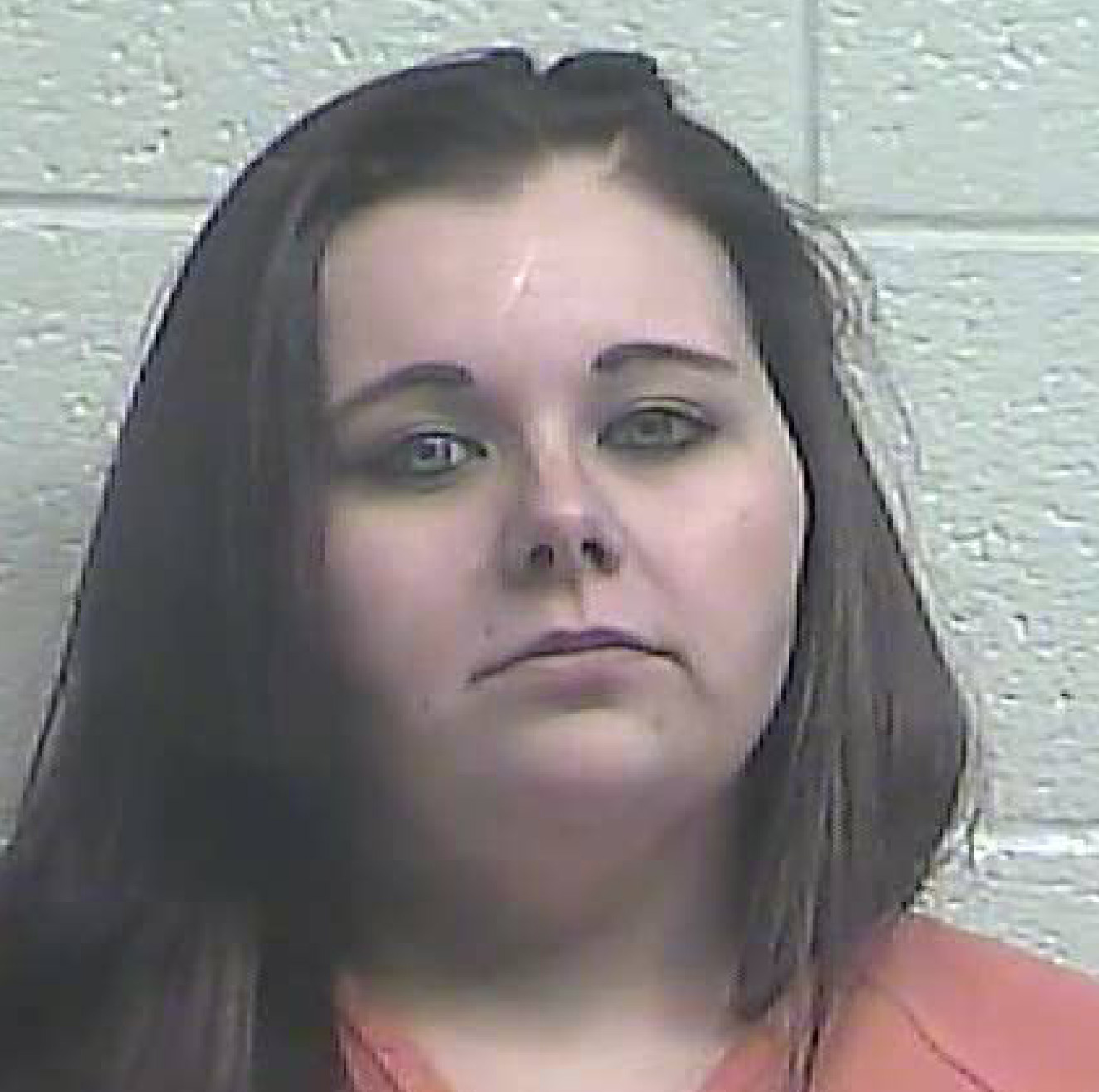 Arrests published in the Jessamine Journal 4.12.18 Jessamine Journal