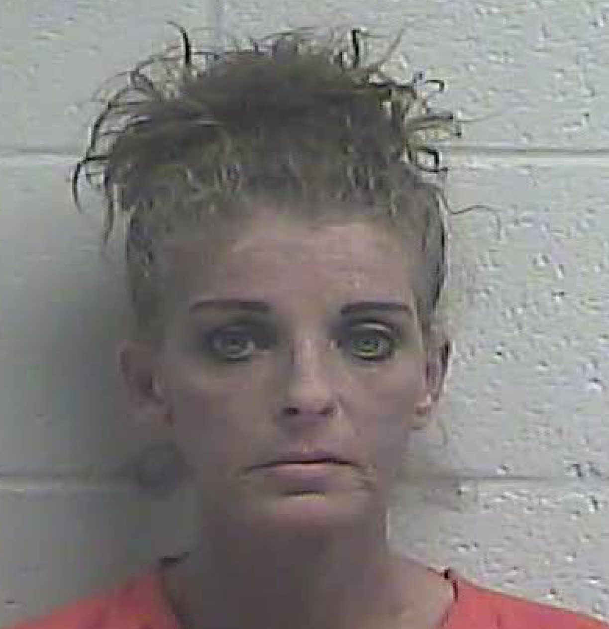 Arrests published in the Jessamine Journal 7.5.18 Jessamine Journal