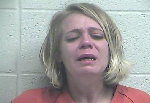 Arrests published in the Jessamine Journal 12.6.18 Jessamine Journal